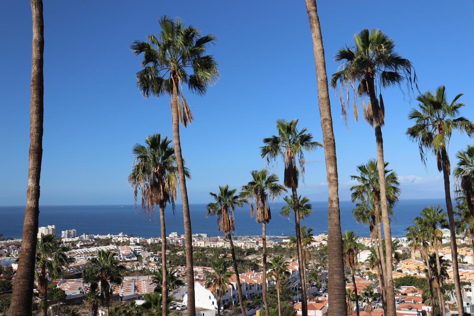 Azure Sky Villa - Panoramic Ocean View, Luxury, San Eugenio アデヘ エクステリア 写真